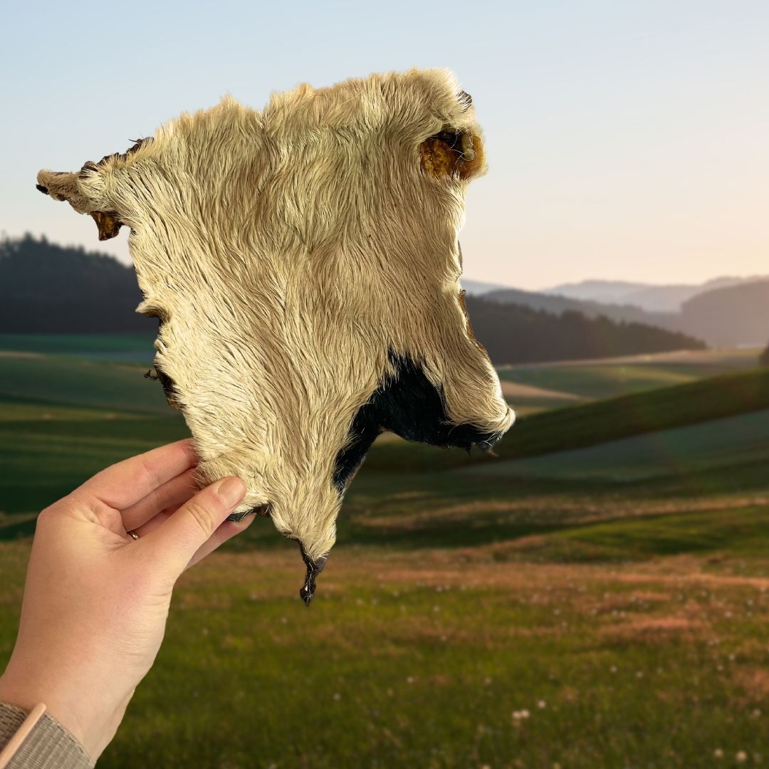 XL Hairy Beef Skin