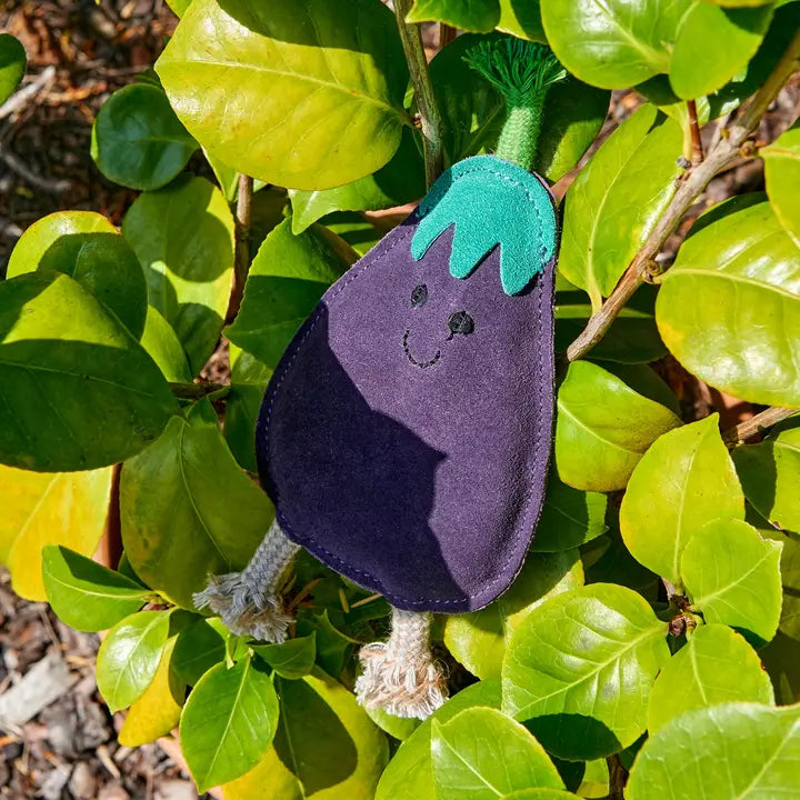 Austin The Aubergine. ECO Toy