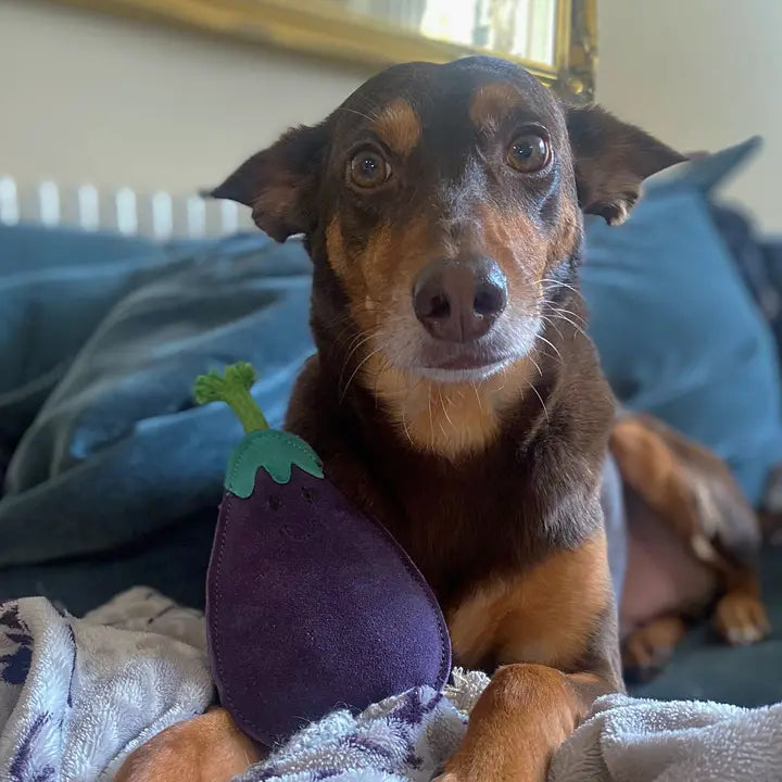 Austin The Aubergine. ECO Toy
