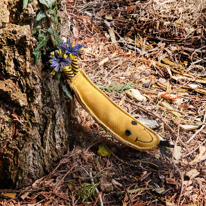 Barry The Banana. ECO Toy