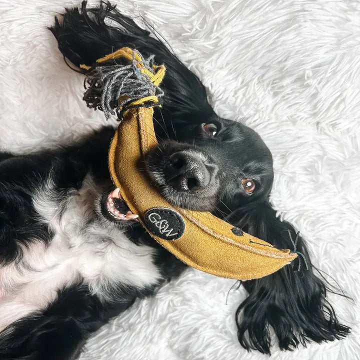 Barry The Banana. ECO Toy