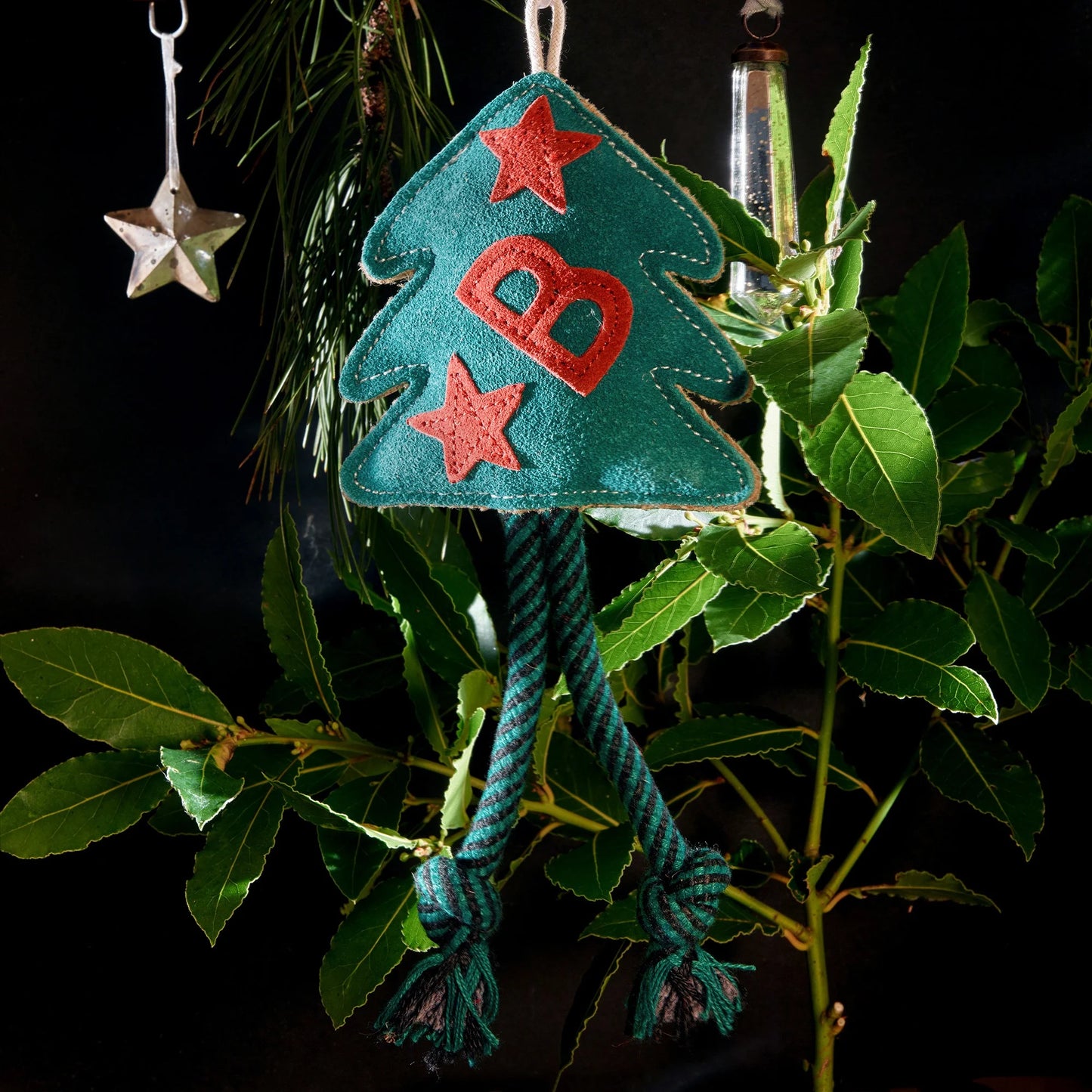 Bruce the Spruce. ECO Toy