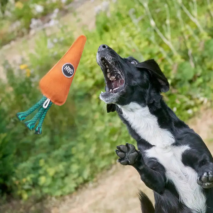 Candice The Carrot. ECO Toy