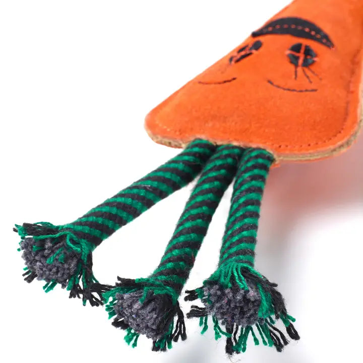 Candice The Carrot. ECO Toy