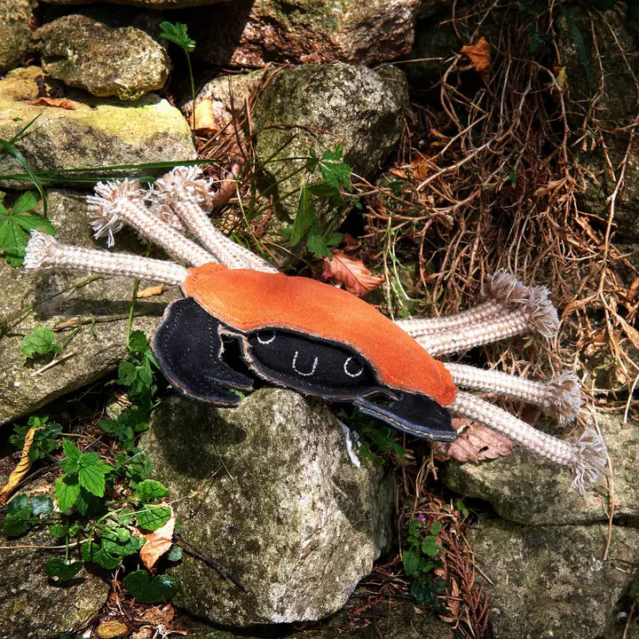 Carlos The Crab. ECO Toy