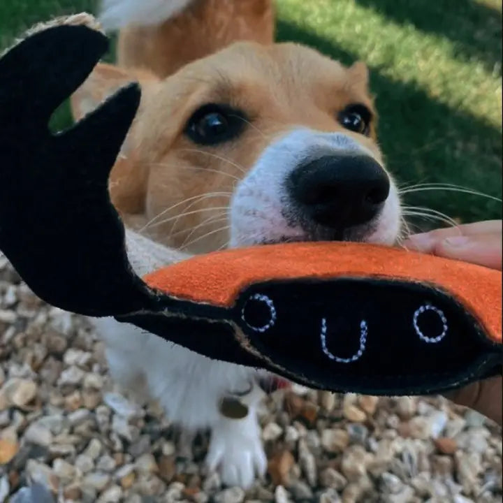 Carlos The Crab. ECO Toy