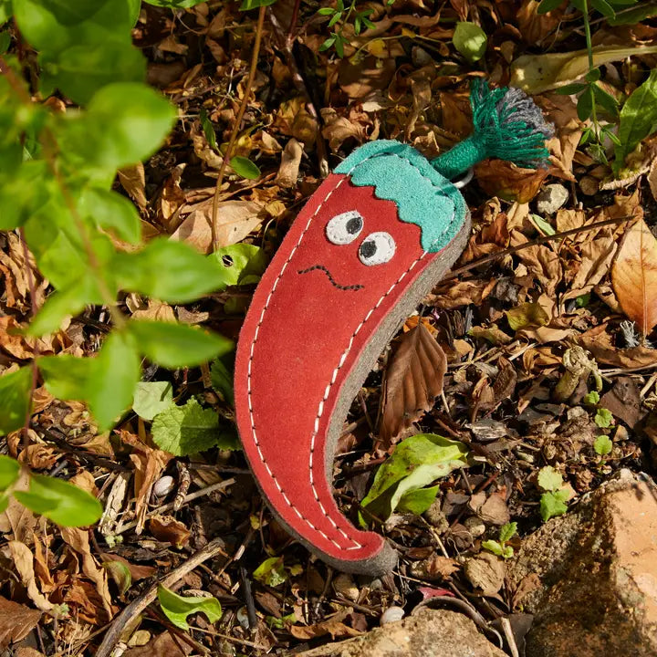 Chad The Red Hot Chilli Pepper. ECO Toy