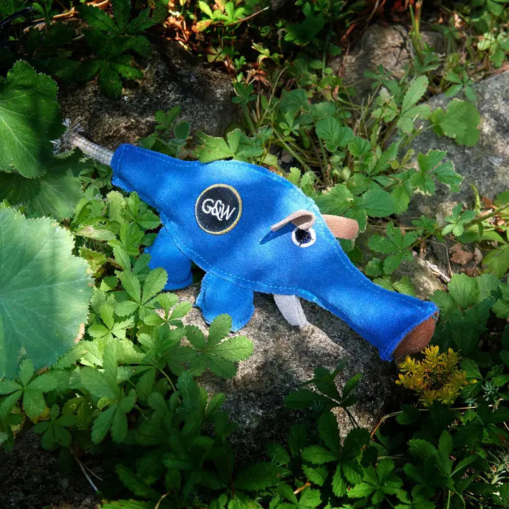 Dino The Dyno Fish. ECOToy