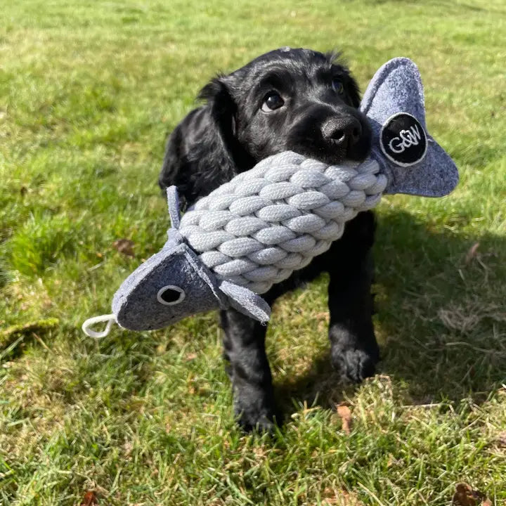 Roger the Ropefish. ECO toy