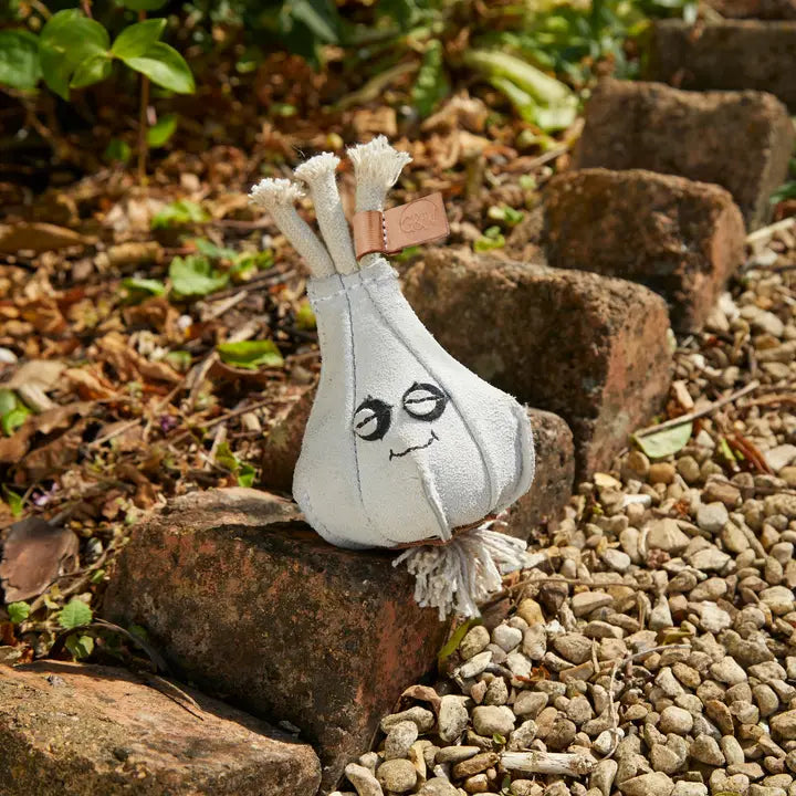 Gary the Garlic ECO Toy