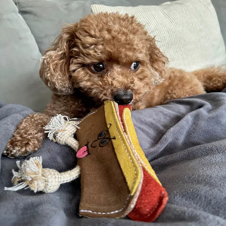 Harry The Hot Dog. ECO Toy