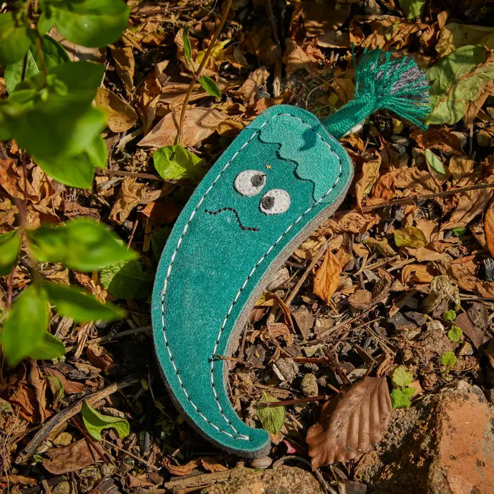 Juan The Jalapeno. ECO Toy