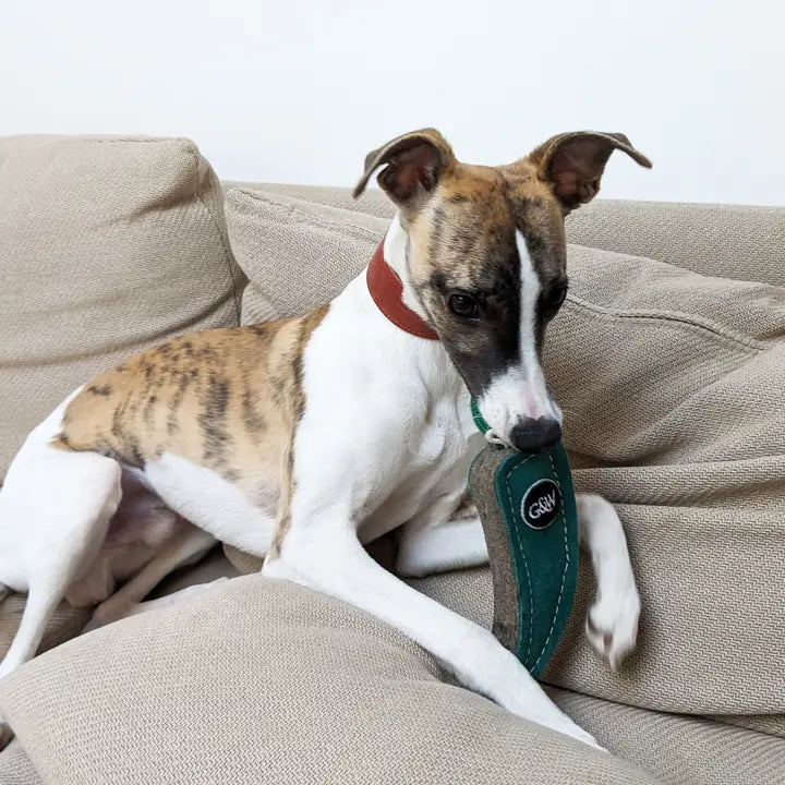 Juan The Jalapeno. ECO Toy