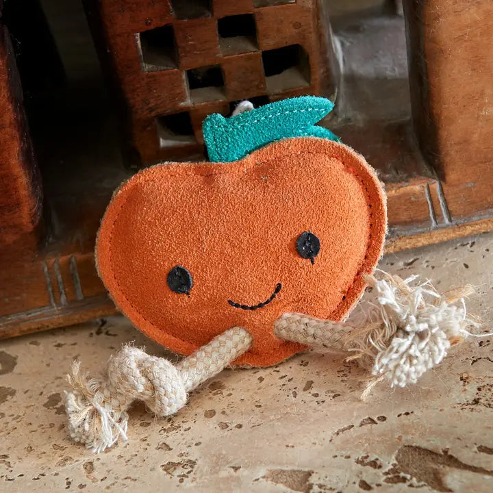 Sancho the Satsuma. ECO toy