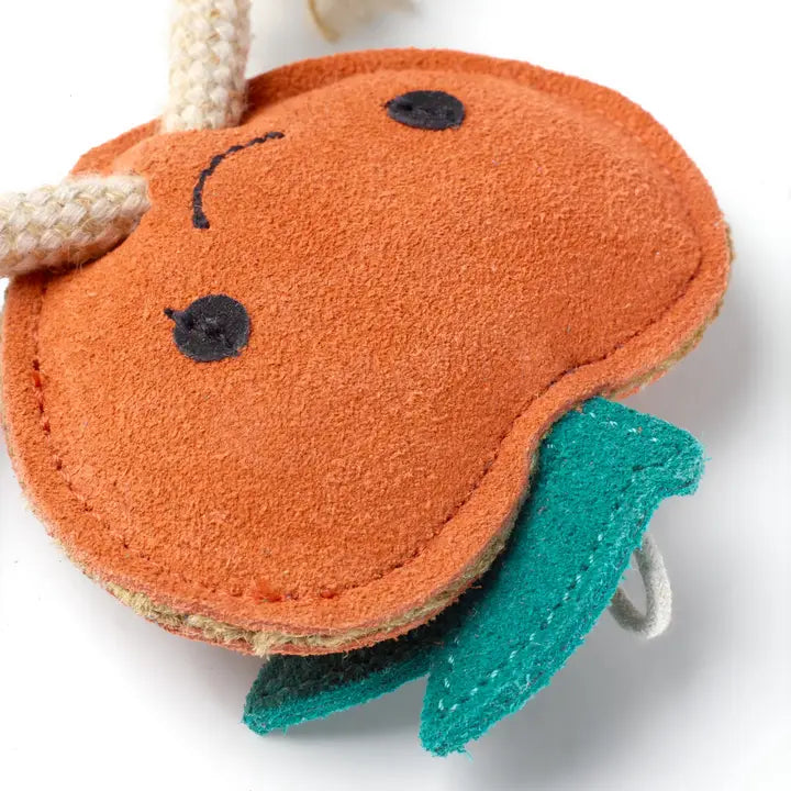 Sancho the Satsuma. ECO toy
