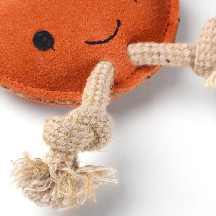 Sancho the Satsuma. ECO toy