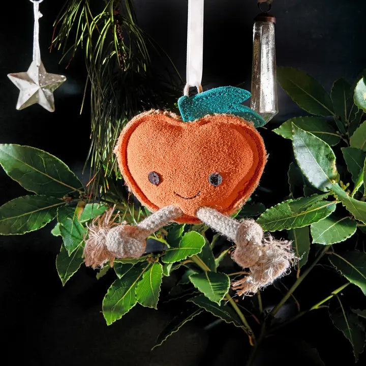 Sancho the Satsuma. ECO toy