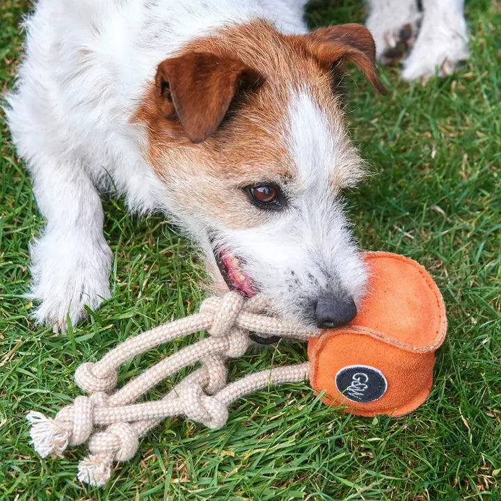 Sid the Squid. ECO Toy