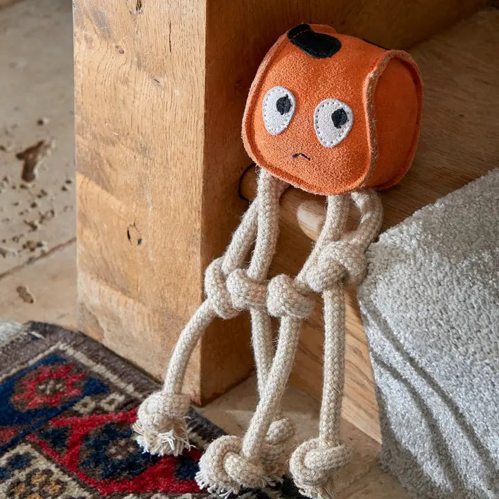 Sid the Squid. ECO Toy