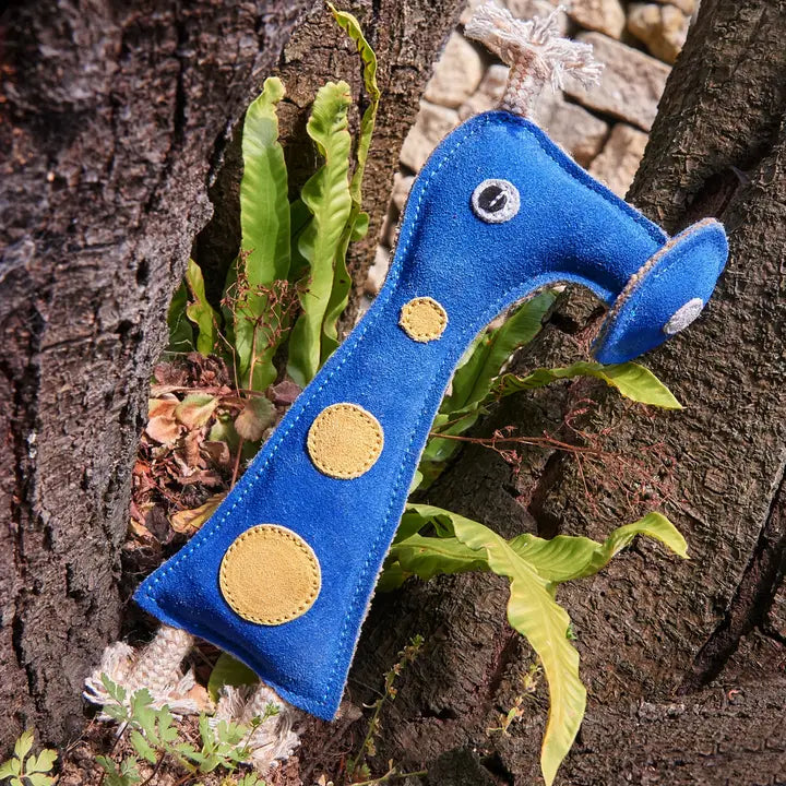 Smorg from Green Planet. ECO Toy