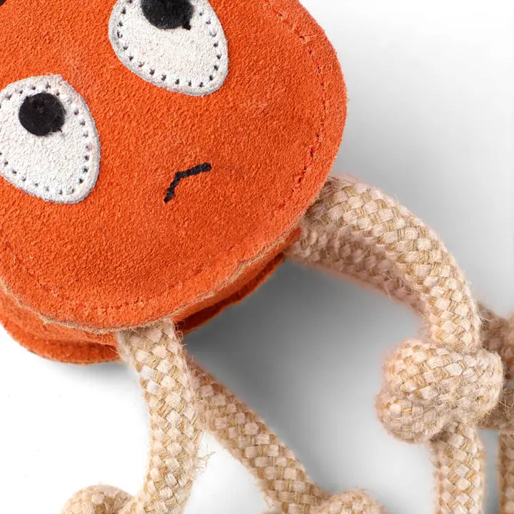 Sid the Squid. ECO Toy