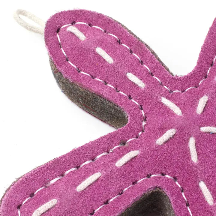 Stanley the Starfish. ECO Toy