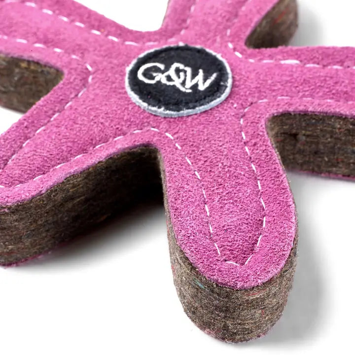 Stanley the Starfish. ECO Toy