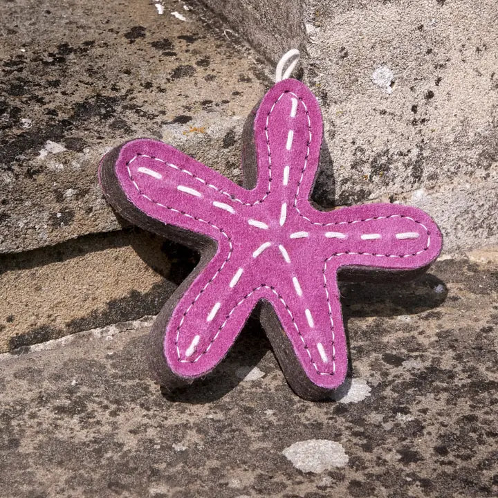 Stanley the Starfish. ECO Toy