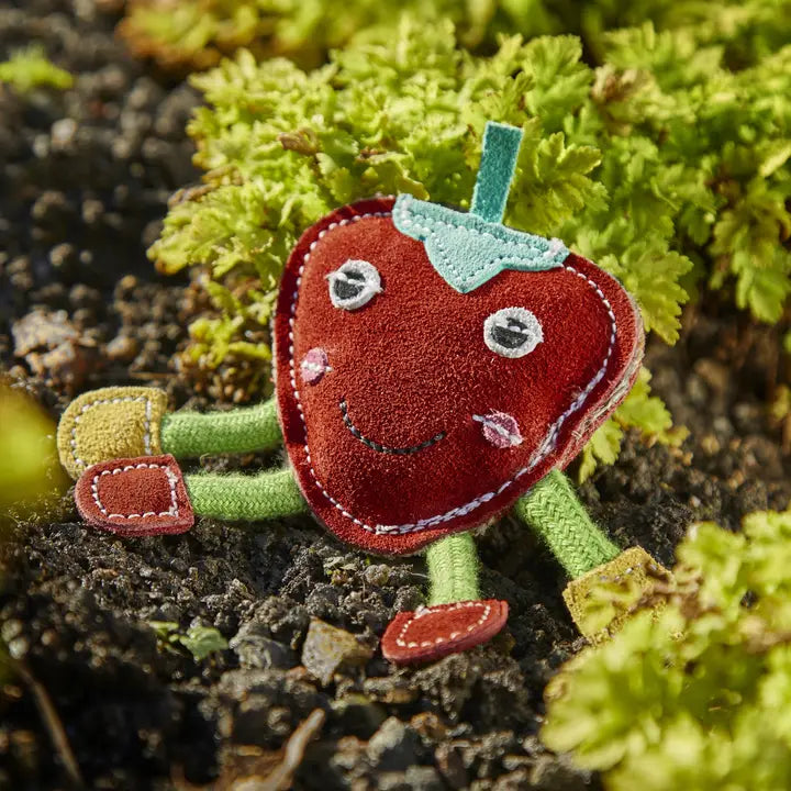 Steve the Strawberry. ECO Toy
