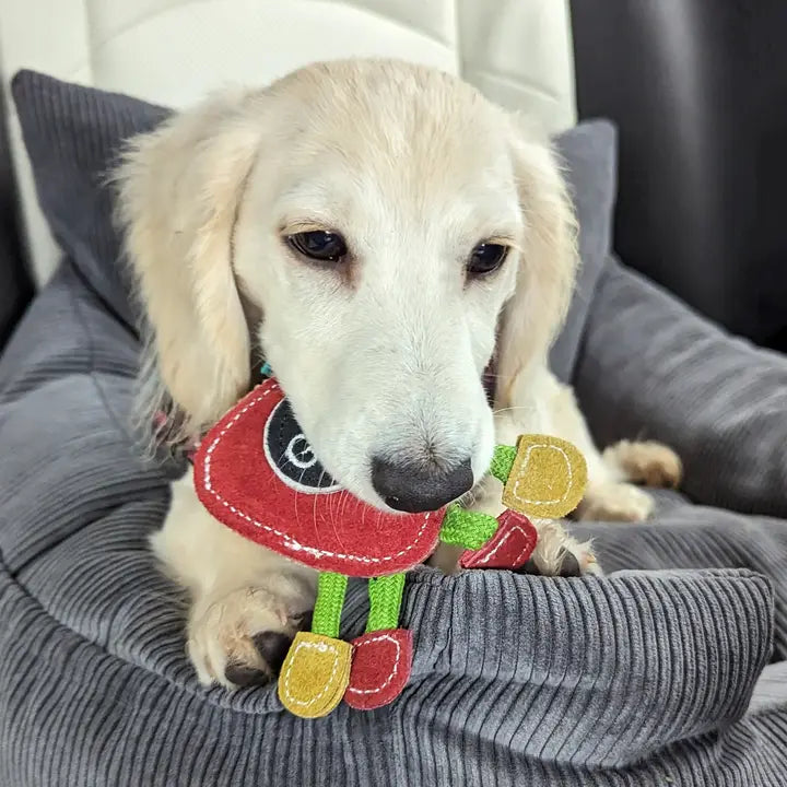 Steve the Strawberry. ECO Toy