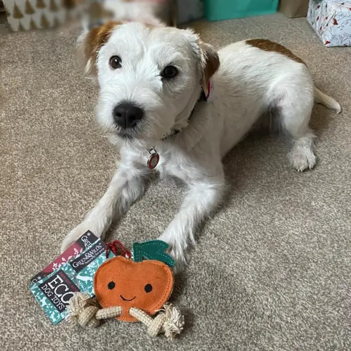 Sancho the Satsuma. ECO toy