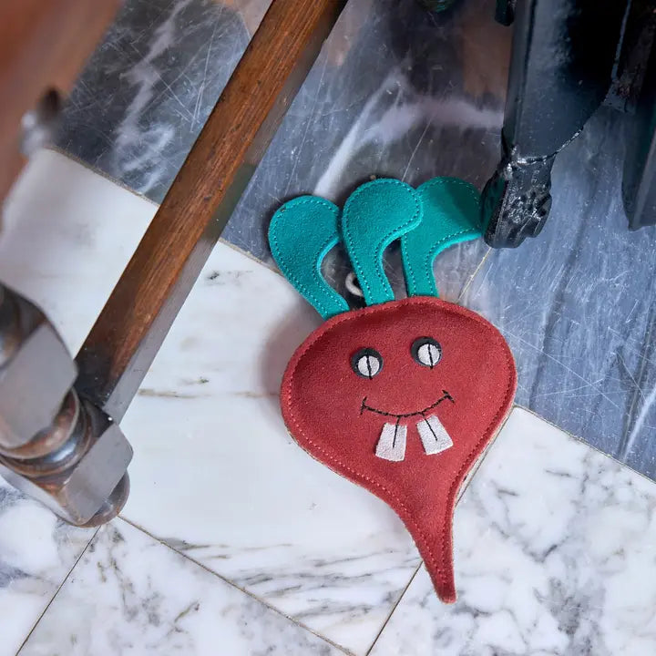 Terry the Turnip. ECO toy