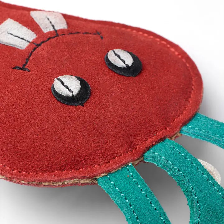 Terry the Turnip. ECO toy