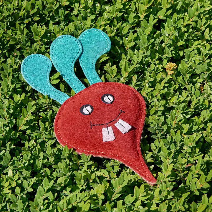 Terry the Turnip. ECO toy