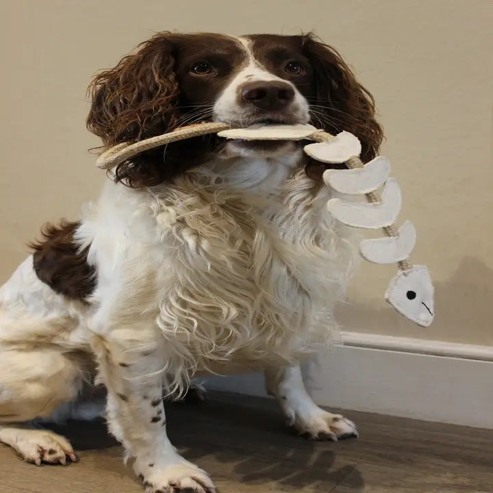 Thin Lizzie Bonefish. ECO Toy