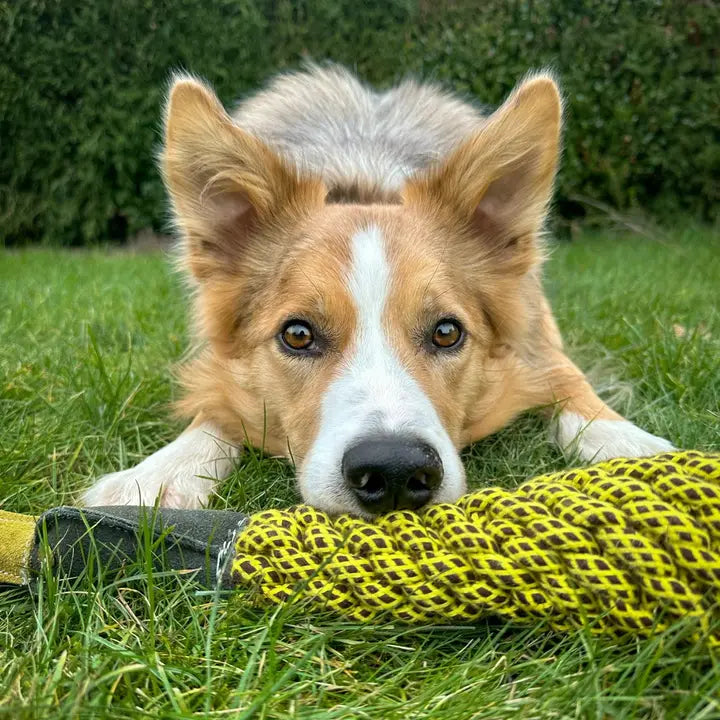 Delilah The Duckess. ECO toy