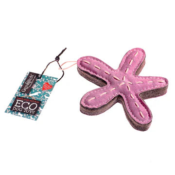 Stanley the Starfish. ECO Toy