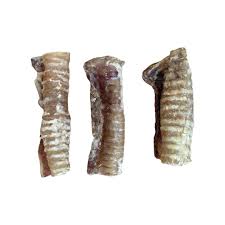 Trachea 500g