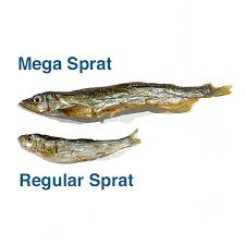 Dried Atlantic Sprats 200g