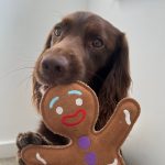 Jean Genie the Gingerbread Person. ECO toy