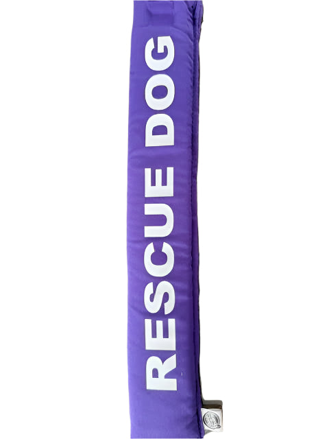 RESCUE DOG