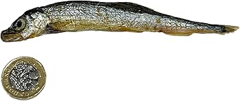 Dried Atlantic Sprats 200g