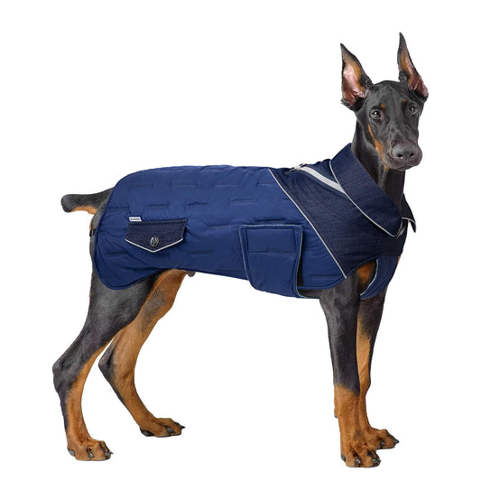 DOG COAT WITH HARNESS,