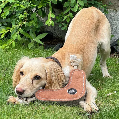 Benny the Boomerang, Eco Toy