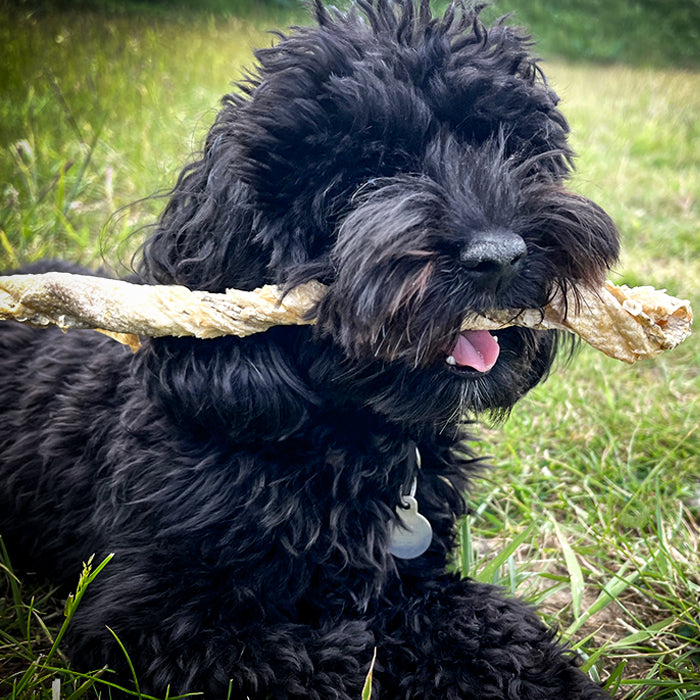 Jerky White Fish Twists (COMING SOON)