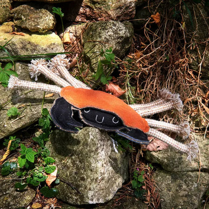 Carlos The Crab, Eco Toy