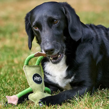 Francois Le Frog, Eco Toy