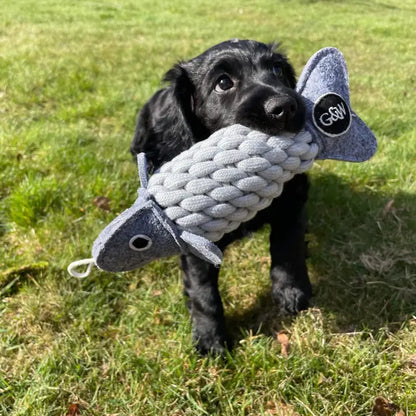 Roger the Ropefish, Eco toy