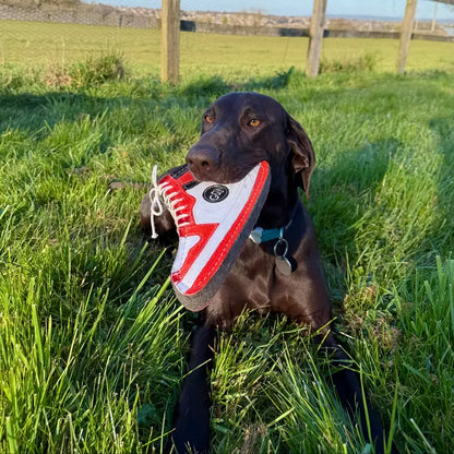 Gordon Hi-Top, Eco Dog Toy