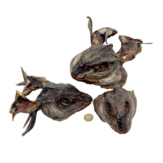 Dried Haddock Heads